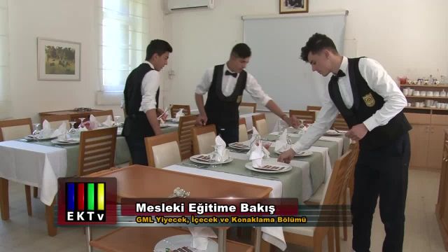 Mesleki Eğitime Bakış 