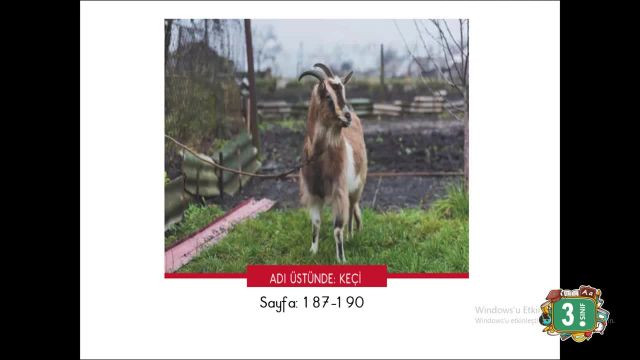 BRT 8 Şubat 2021Uzaktan Eğitim Üçüncü Sınıf