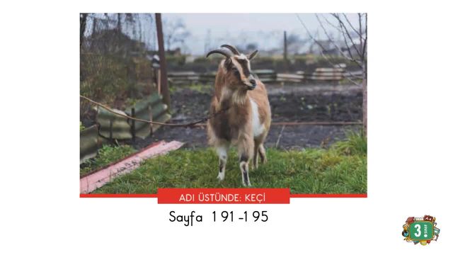 BRT 11 Şubat 2021 Uzaktan Eğitim 3 Sınıf