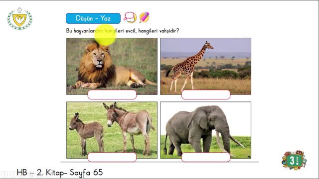 BRT 7 Nisan 2021 Uzaktan Eğitim 3 Sınıf