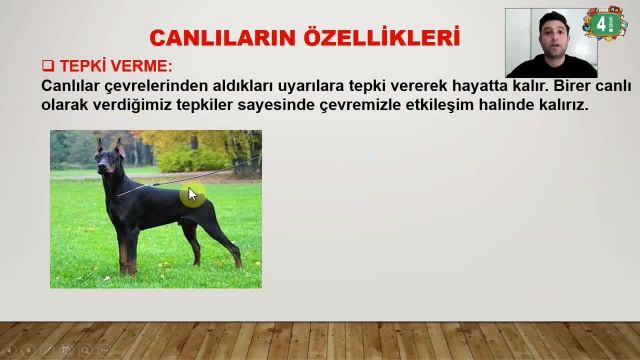 BRT 28 Nisan 2021 Uzaktan Eğitim 4 Sınıf