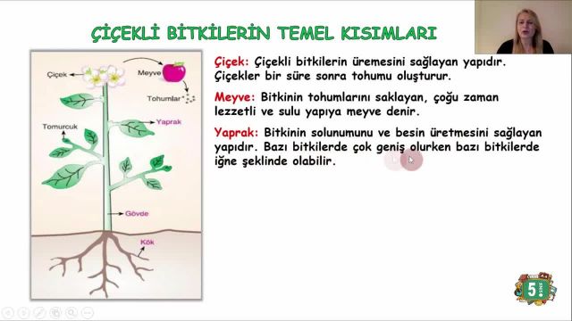 BRT 21 Mayıs 2021 Uzaktan Eğitim 5 Sınıf